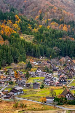 Renkli ağaçlarla dolu güzel sonbahar manzarası