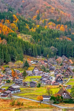 Fushimi inari türbesindeki güzel sonbahar manzarası