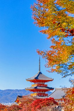 Dağ fuji ile akçaağaç yaprağı ağacın etrafında güzel manzara