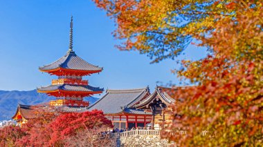 Kyoto 'daki güzel mimari, sonbahar mevsiminde Japonya