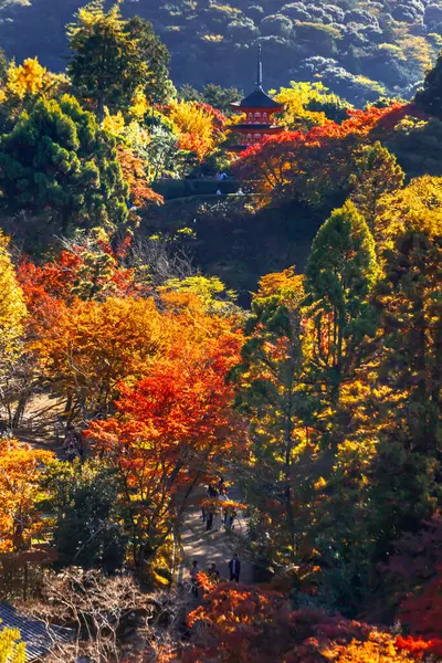 Renkli ağaçlarla dolu sonbahar manzarası