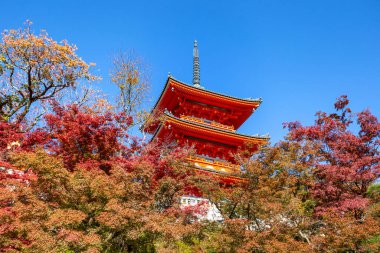 Kyoto 'da sonbaharda güzel kırmızı pagoda