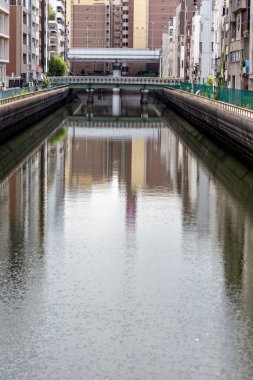 Tokyo, Japonya - Haziran 2017: Şehir sokaklarında yürüyen insanlar