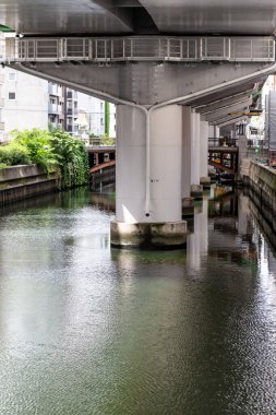 Tokyo-Japonya Mayıs 08.20: Tokyo 'da Japon treni köprüden geçiyor.