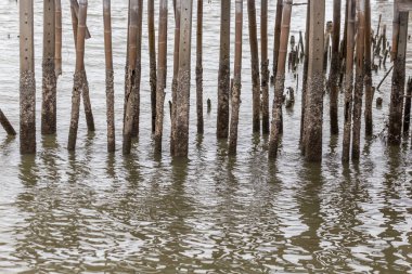 Denizde eski ahşap iskele