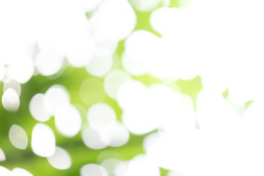 Yeşil bokeh soyut doğa arka plan.