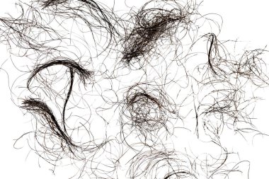 set of black hair isolated on white background
