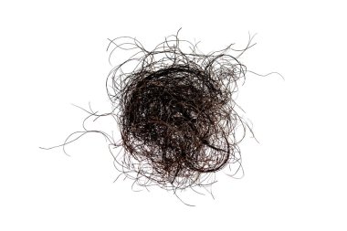 dry black long hair on white background
