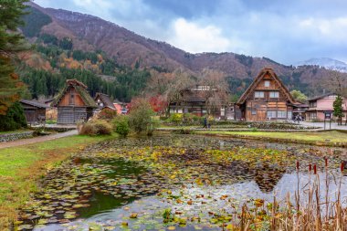 Shirakawago, Japonya 'da geleneksel evler ve ağaçlarla güzel bir sonbahar manzarası.
