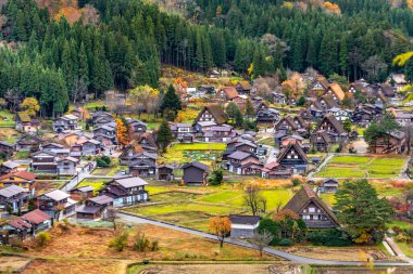 aerial view of traditional shi- kawago village in autumn season