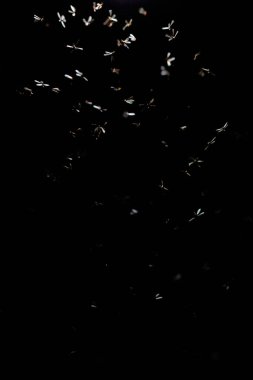 güzel renkli bokeh bulanık arkaplan, odaklanmış ışıklar