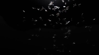 flying butterflies on a dark background