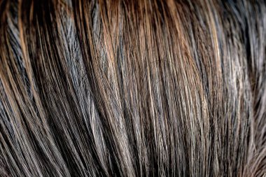 brown hair background texture abstract.