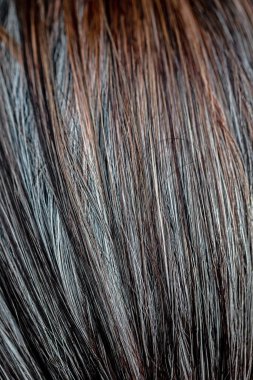 abstract background of brown hair