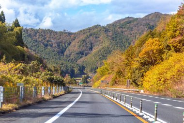 Akçaağaç güzel sonbahar manzarası