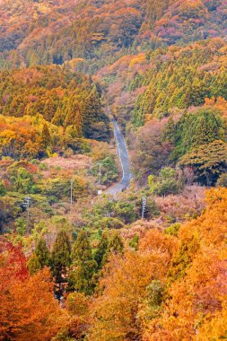 Renkli ağaçlar ve dağlarla dolu sonbahar manzarası