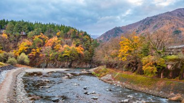 Dağ nehri ile güzel manzara