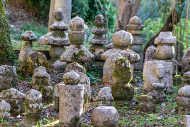 Japon Buda heykelleri parktaki bahçede.