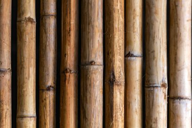 bambu dokusunun arkaplanı.