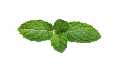 beyaz arkaplanda izole edilmiş taze nane