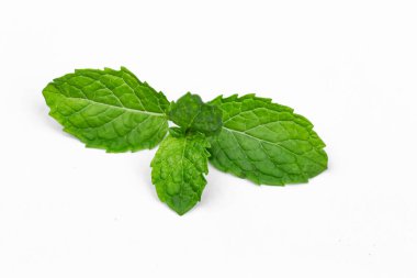 Beyaz arkaplanda izole edilmiş nane yaprakları