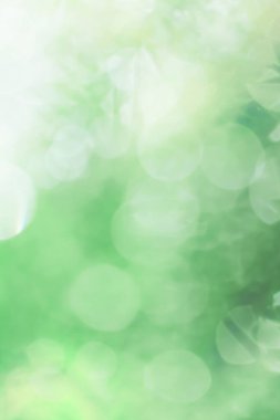 Doğada Yeşil Yapraklar