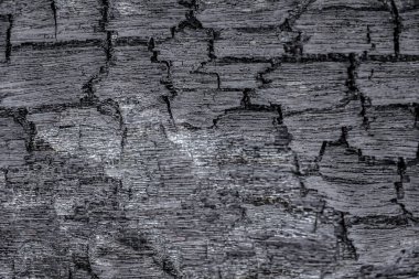 Doğal desenli eski ahşap doku, tasarım işi için soyut arkaplan