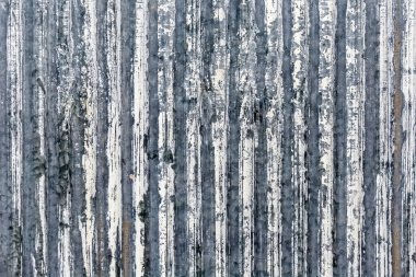 ahşap duvar dokusu ve arkaplanı