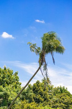 Doğanın güzel manzarası