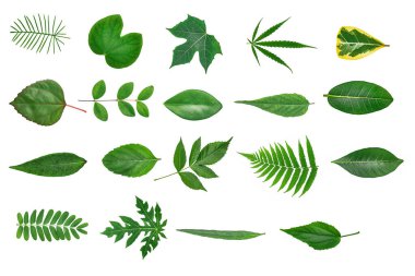 Soyut arkaplanda yarım ton noktalar