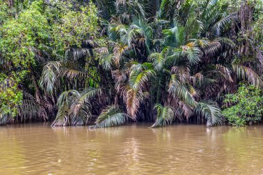 Soyut arkaplanda yarım ton noktalar