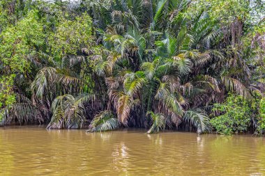 Soyut arkaplanda yarım ton noktalar