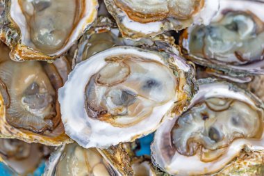 Lezzetli taze deniz ürünlerinin yakın görüntüsü