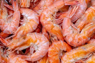 taze kırmızı karides arkaplanı