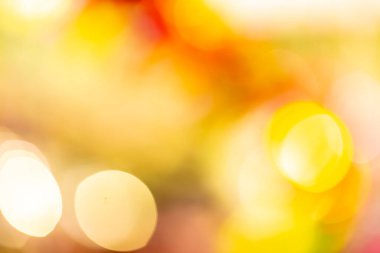 Arka plan bulanık sonbahar yaprakları