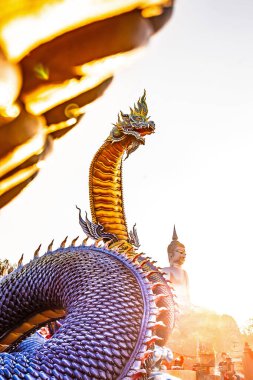 Tayland şehrinin tapınağındaki ejderha