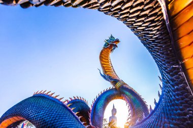 Parkın güzel manzarası