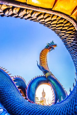 Çin tapınağındaki güzel ejderha heykeli