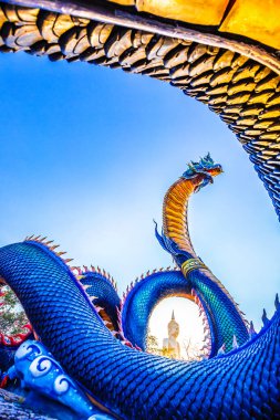 Yasaklar şehrindeki ejderhanın güzel manzarası, Çin 'in en büyük başkenti..