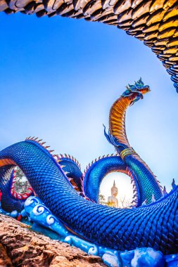 Tapınaktaki güzel ejderha heykeli