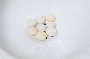 Bir kasede beyaz ve siyah yumurta.