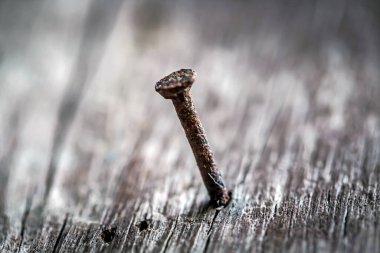 Ağacın arka planında eski paslı çivi