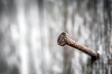 Paslı anahtar paslı metal duvarda.