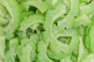 yeşil taze marul yaprakları arka plan