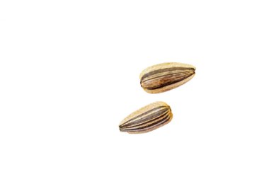 kavrulmuş kabak çekirdeği üzerinde beyaz izole