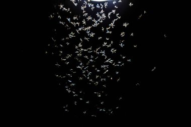 Farklı ışıkları olan renkli bir arka plan.