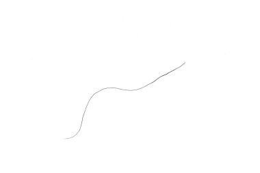 feliz Empresaria con teléfono