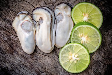 Siyah arka planda taze istiridye.