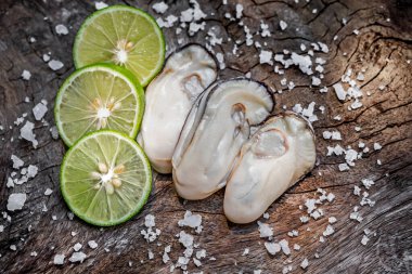 Limon ve limonlu taze istiridye, seçici odak