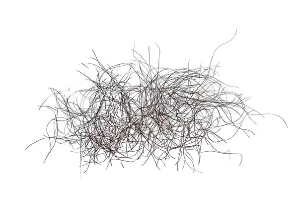 Beyaz arka planda izole edilmiş bir grup kuru dalın yakın çekimi